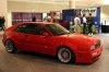 IMG_3145.jpg