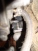 DSC07665.jpg
