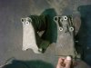 DSC03087_s.jpg