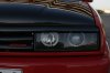 DSC07303.JPG
