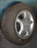 Hercules - DSC06204.jpg