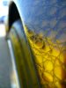 0_6269a_c5b121b5_L.jpg