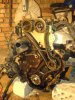 DSC00397-1.jpg