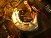 DSC00731-1.jpg