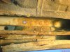 DSC00771-1.jpg