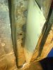 DSC00772-1.jpg