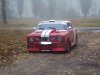 DSC04100.JPG
