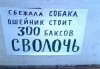 x_323c624f.jpg