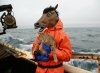 krabs-horse.jpg