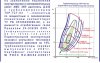 ТКР-7-ст-03-карта.jpg