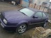 2013-04-25-1772.jpg