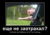 761549_esche-ne-zavtrakal_demotivators_ru.jpg