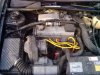 IMG_20130901_194655000.jpg