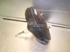 Passat B5 small.jpg