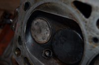 DSC_0325.JPG