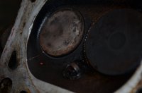 DSC_0326.JPG