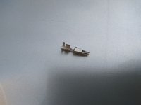 IMG_20180423_175624.jpg