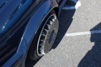 IMG_1650 (Копировать).JPG