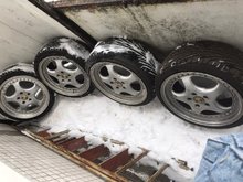 photo_2019-03-07 13.45.30.jpeg