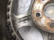 photo_2019-03-07 13.44.51.jpeg