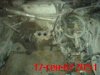 DSC01144.JPG