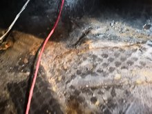 IMG_20190521_193723.jpg IMG_20190521_193723.jpg