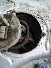 IMG_20190521_152417.jpg IMG_20190521_152417.jpg