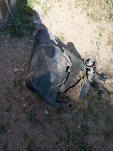 IMG_20200906_104129.jpg