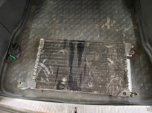 Screenshot at May 12 21-31-52.png