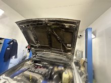 IMG_1572.jpeg