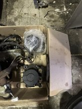 IMG_1784.jpeg