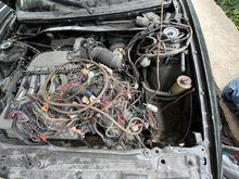 IMG_7786.jpeg