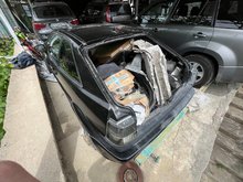 IMG_7782.jpeg