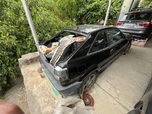 IMG_7781.jpeg