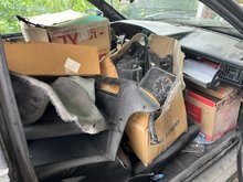 IMG_7780.jpeg
