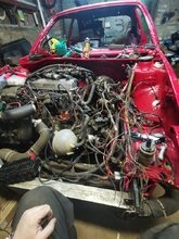 WhatsApp Image 2025-04-14 at 15.08.41.jpeg