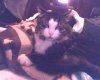 IMG0071A.jpg