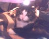 IMG0074A.jpg