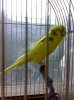 29032008155.jpg
