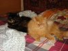 DSC03353.JPG