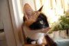DSC_0042.jpg