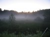 IMG_1910-1.jpg
