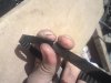 DSC00315.jpg