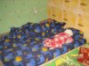 IMG_0286_1.jpg