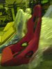 DSC00095.jpg
