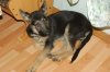 DSC_9811.JPG