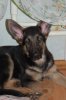 DSC_9814.JPG