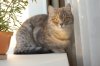 DSC_9838.JPG