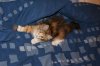DSC01896.JPG