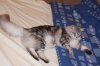 DSC01902.JPG